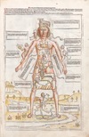 Silho mhl zodiacman thumb